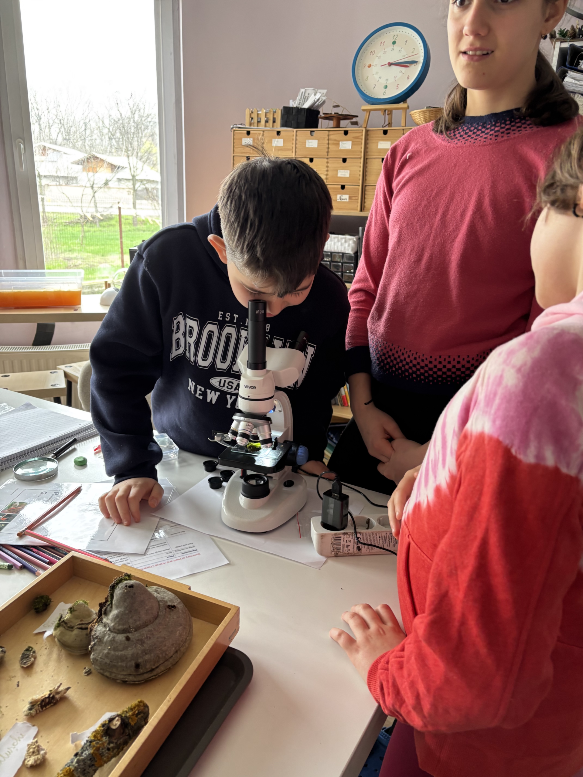 Programul Oxford – PASsE-Par-Nous
