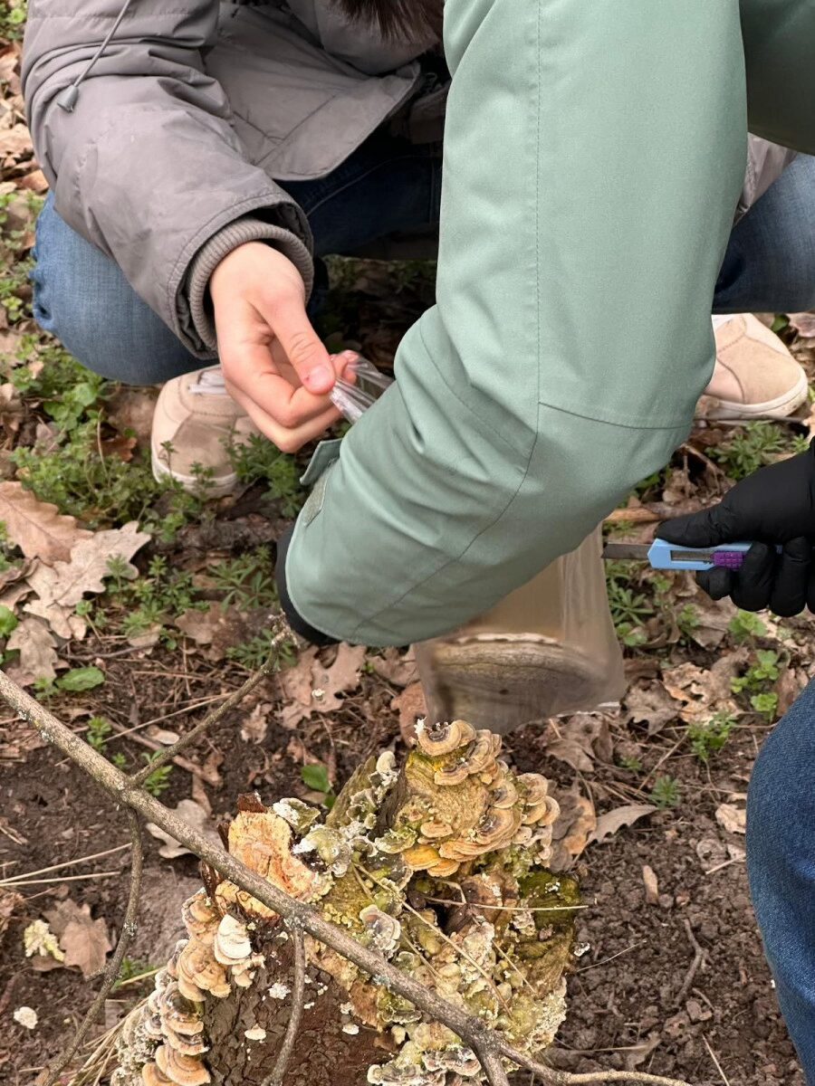 Laboratorul naturii — Pădurea Gulia