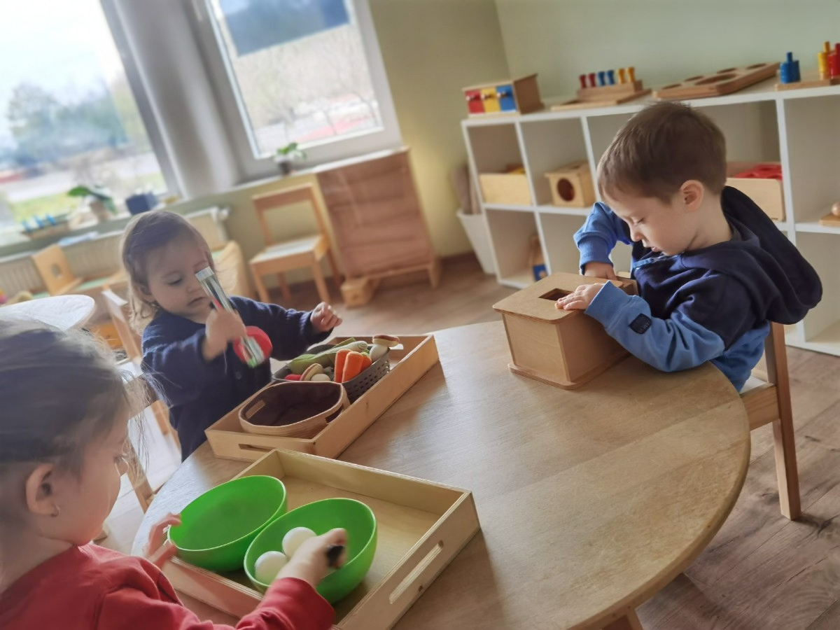 Programul NEST – PASsE-Par-Nous