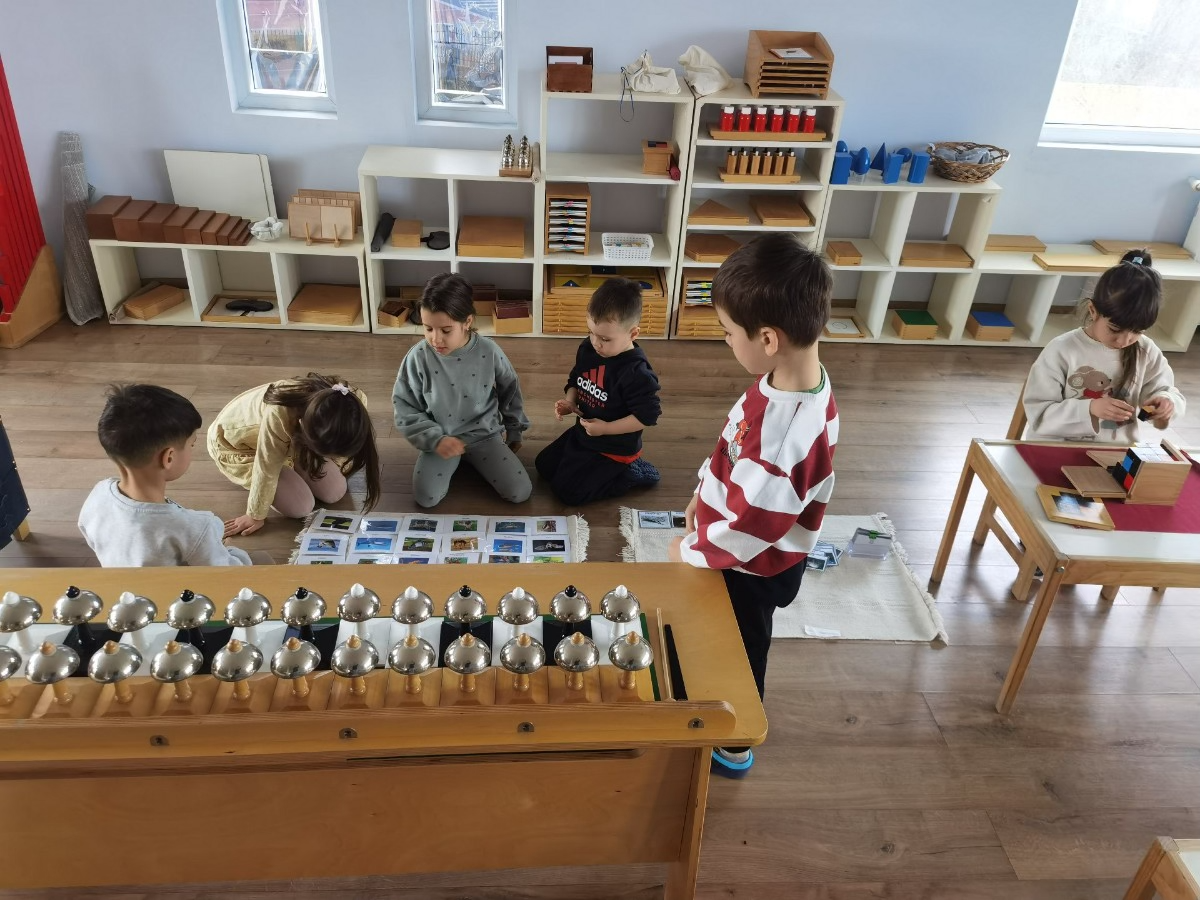 Programul WILD – PASsE-Par-Nous